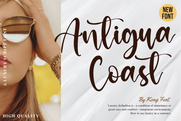 Antigua Coast: A Playful Script Font for Editorial Charm