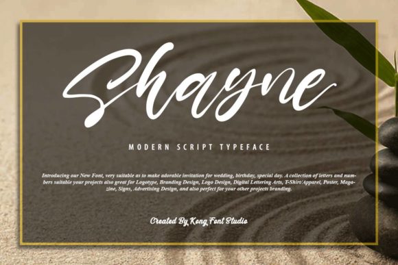 Shayne: A Playful Script Font for Modern Web Design