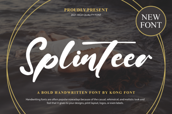 Splinteer: A Playful Script Font for Campaign Graphics