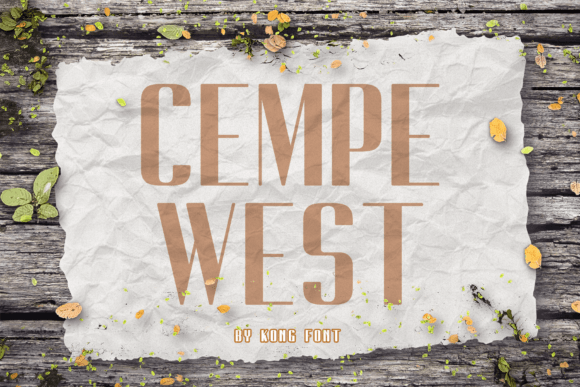 Testing Cempe West: A Designer’s Real Project Story