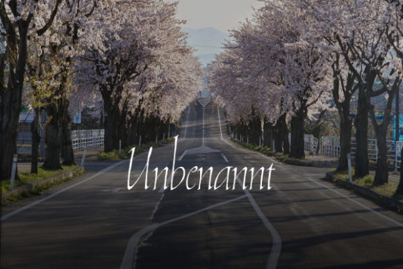 Unbenannt: The Handwritten Font That Adds Character to Your Crafted Goods